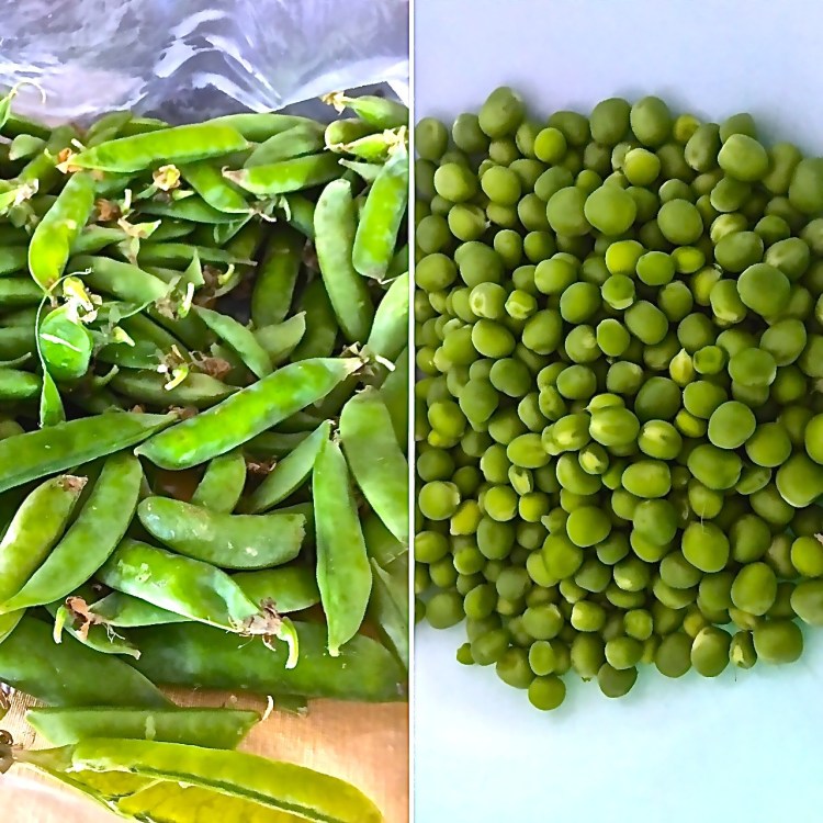 peas